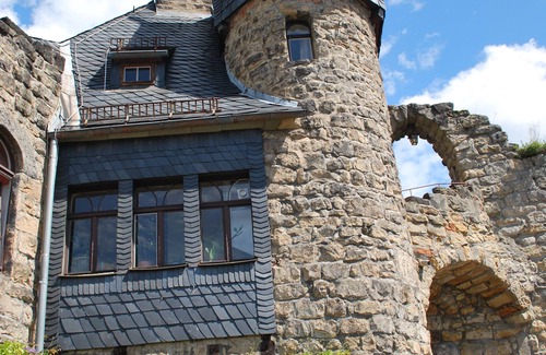 Pillnitz Apartment | Pillnitz vineyard view and castle view