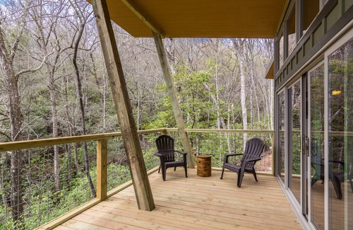 Pisgah Forest Cabin | PILOT COVE 2 BR Cabin - Modern Luxury w/Nature!