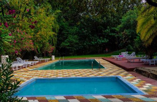 Nanyuki Apartment | Pine 2 bedroom apartment with a pool