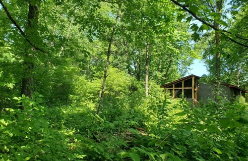 Pine City Cabin | Pine City/River/kayaks/dogs/firepit/screen porch