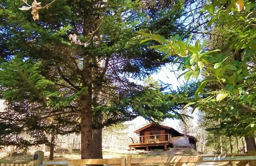 Saint-Germain-du-Salembre Ski Chalet | Pine Tree lodge and Nordic bath in the middle of the forest!