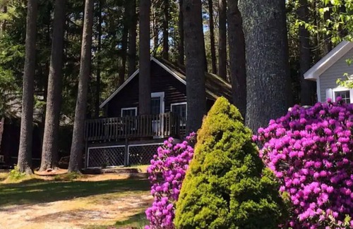 Lincolnville Cottage | Pine Grove Cottages : Cottage 5 - Studio Cottage - Pet Friendly