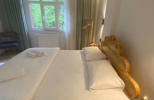 Ayder Apartment | Pine Suit with city view