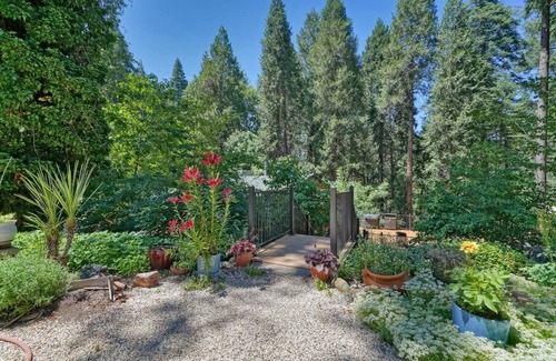 Apple Hill House | Pine View Paradise, beautiful and private, near Apple Hill Orchards and Wineries