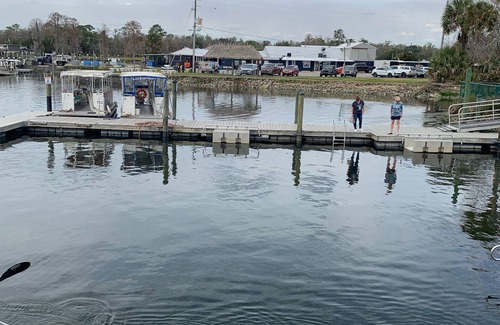 Crystal River RV Rental | Pineapple Glamping CAMP GROUND
