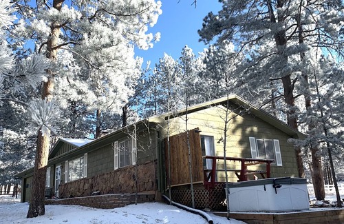 Woodland Park House | Pinecone Cottage: Hot Tub, Fireplace, Fire pit