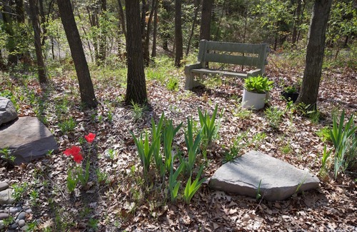 Grand Bend Cottage | Pinetree Place: Lovely Huron Woods Cottage!