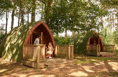 Hythe Other | Pinewood - At Port Lympne Reserve
