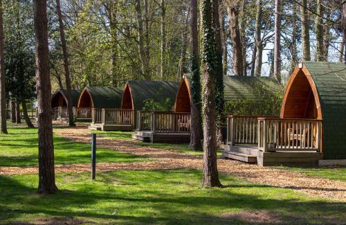 Hythe Other | Pinewood - At Port Lympne Reserve