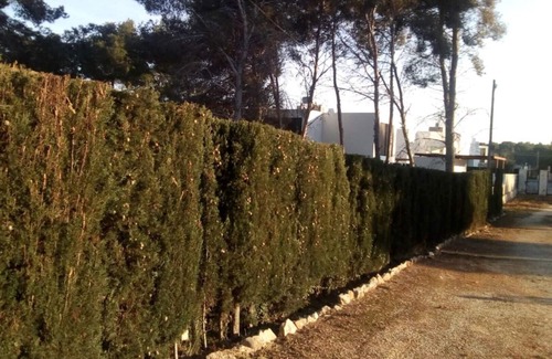Moraira House | "Pinomar" Moraira