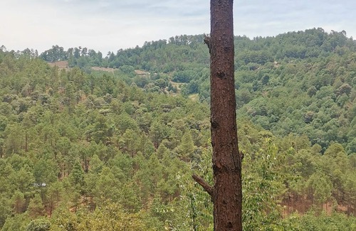 San Sebastian Rio Hondo Cabin | PINOS MAGICOS Cabin