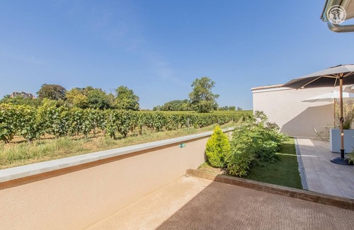 Vinzelles House | Pinot Noir - Vinzelles