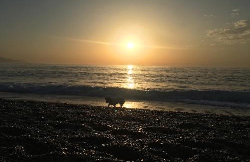 Calahonda Apartment | Pionono1 Calahonda Piscina