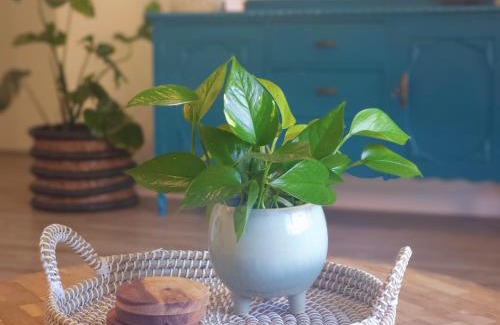 Bathurst Apartment | Piper Apartment