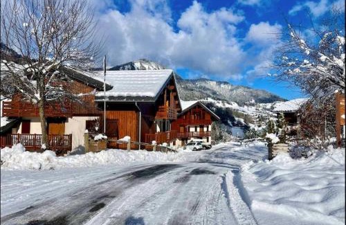 Flumet Apartment | Piste verte