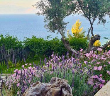 Paralia Porovitsis Villa | Platanos Villa