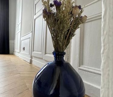 Clermont Ferrand City Centre Apartment | Plateau central/beaux arts