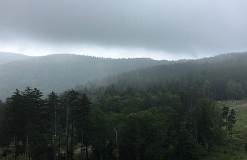 Snowshoe Apartment | Platinum 3 sleeper, Soaring Eagle