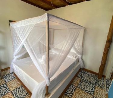 Monitos House | Playa Jaguar - Beach Club