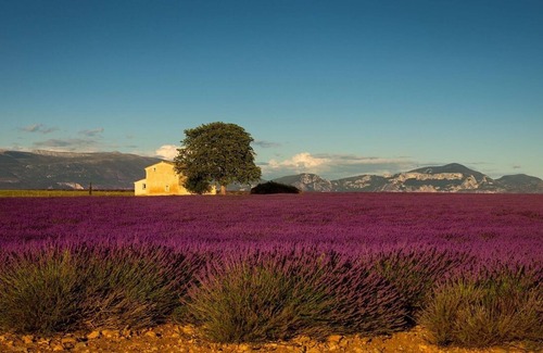 Cavaillon Cottage | Pleasant studio cabin in a private house located in Cavaillon, sleeps 4.