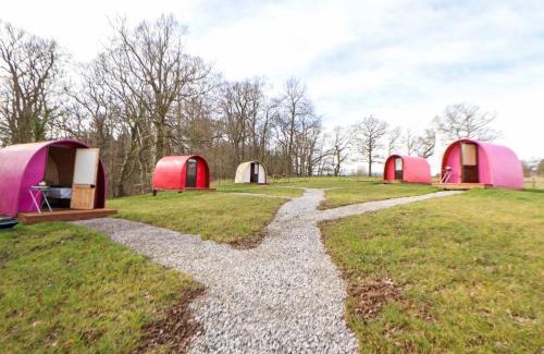 Saint Asaph House | Pod 3
