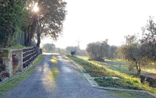 Signa Apartment | Podere agli Arrighi