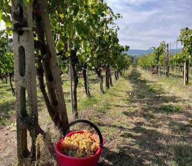 Santarello House | Podere Campanella