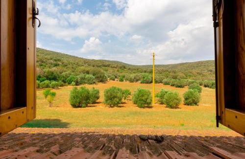 Talamone Apartment | Podere Caprarecce Trilocale 6