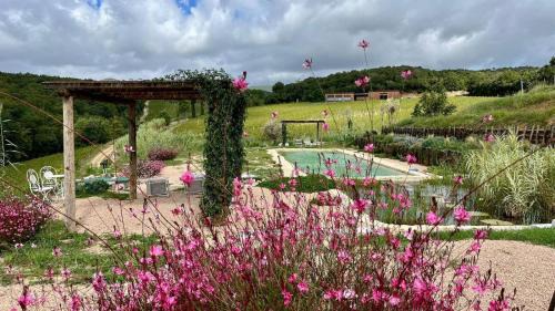 Riparbella Apartment | Podere Terraviva - apt Mimosa