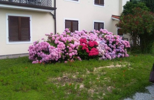 Lido di Camaiore Apartment | Podere Venanzio