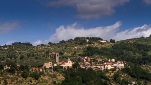Massa e Cozzile Villa | Podere Villa Viola