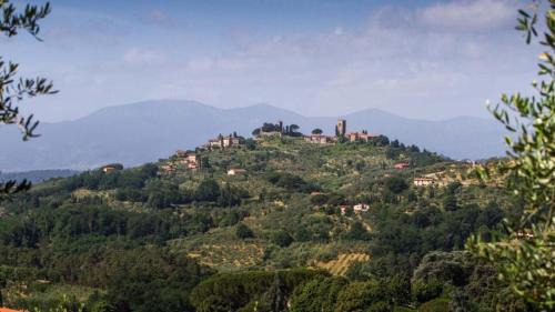 Massa e Cozzile Villa | Podere Villa Viola