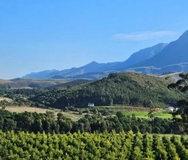 Swellendam House | Podium Farm Stay