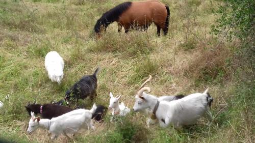Sorrezzana House | Poggio delle Capre