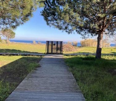 Poggio-Mezzana Apartment | Poggio Mezzana T2 climatisé avec jardin proche mer