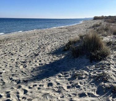 Poggio-Mezzana Apartment | Poggio Mezzana T2 climatisé avec jardin proche mer