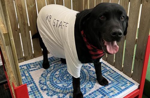 Leyland House | Pompian Lodge