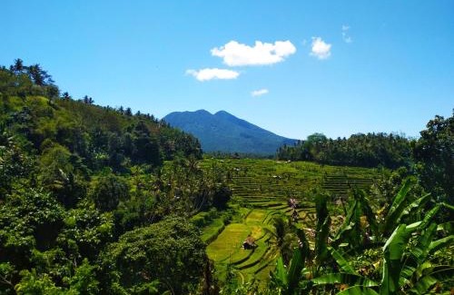 Ababi House | Pondok Batur Indah Homestay Karangasem