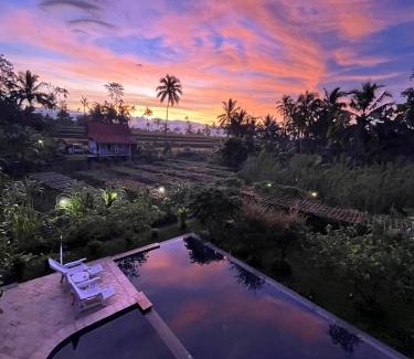 Banyuwangi House | Pondok Is Oke Bamboo Lodge