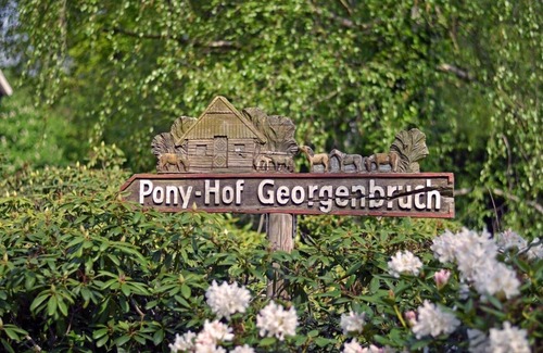 Everswinkel Apartment | Ponyhof Georgenbruch, vacation apartment Falkenhorst, 110m2, 1-7 pers.