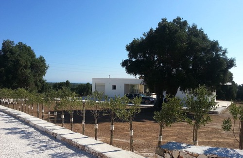 Serranova Villa | Poolside villa with a view among ancient olive trees