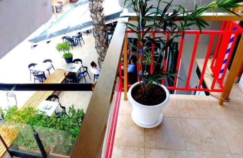 Markopoulon House | PopArt AURA - 5' ATH AIRPORT