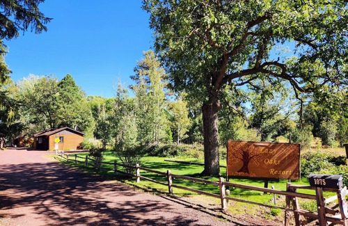 Pinetop-Lakeside Cabin | Poplars Cabin at Lazy Oaks Resort
