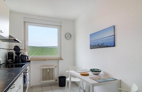 Meersburg Condo | Popular apartment */DTV with lake & Alpenblick and south balcony