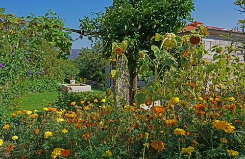 Fafe Cottage | Porch House