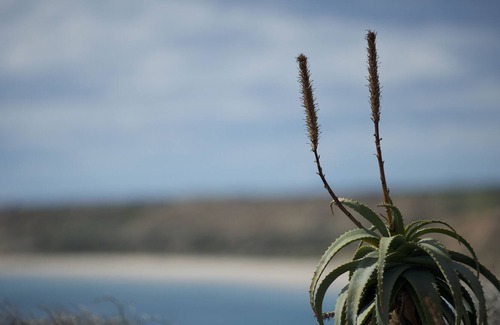 Port Willunga House | Port Willunga Blue Beach House