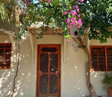 Palomino Hotel | Posada Gallinas