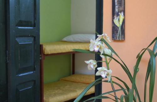 Silvania Hotel | Posada Las Bromelias