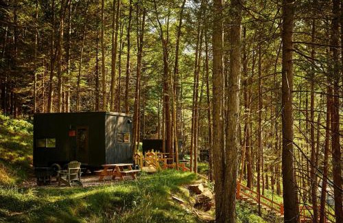 Running Springs Other | Postcard Cabins Big Bear