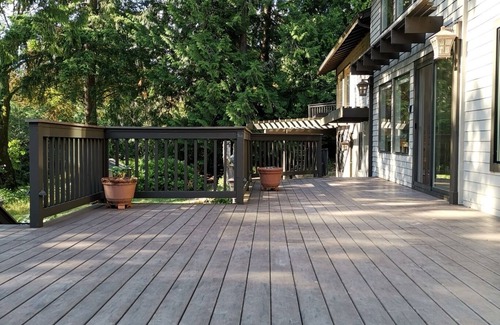 Issaquah Apartment | POWER ON - The Forest Rooms - A Peaceful Oasis close to everything